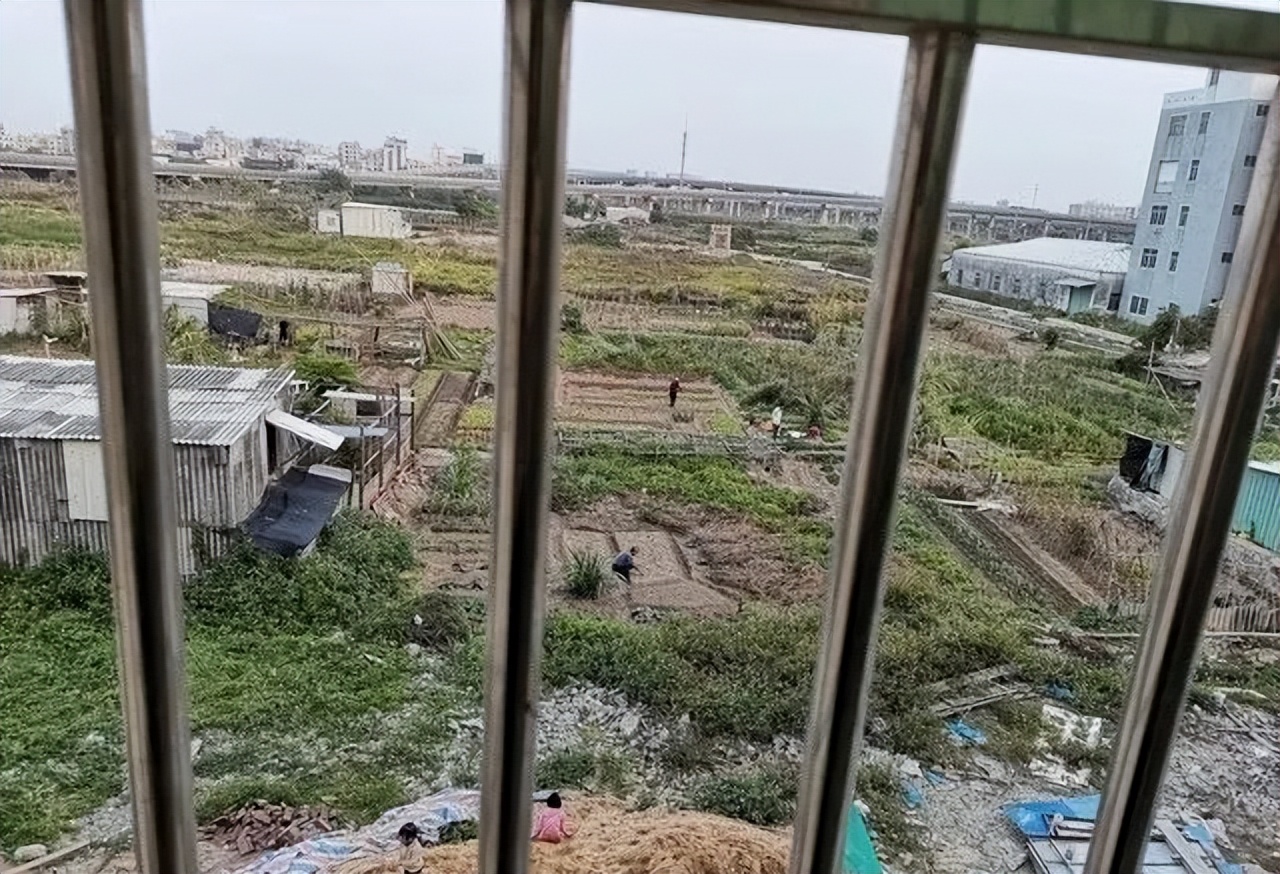 住户占用楼道给谁投诉_业主占用楼道_