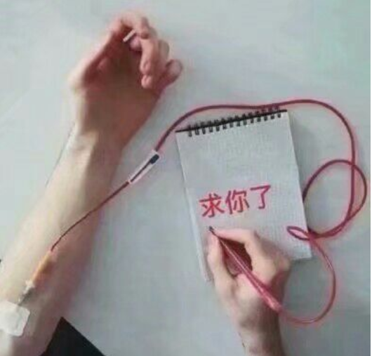 留学个人简历模板英文_留学简历英文模板申请怎么写_留学申请英文简历模板