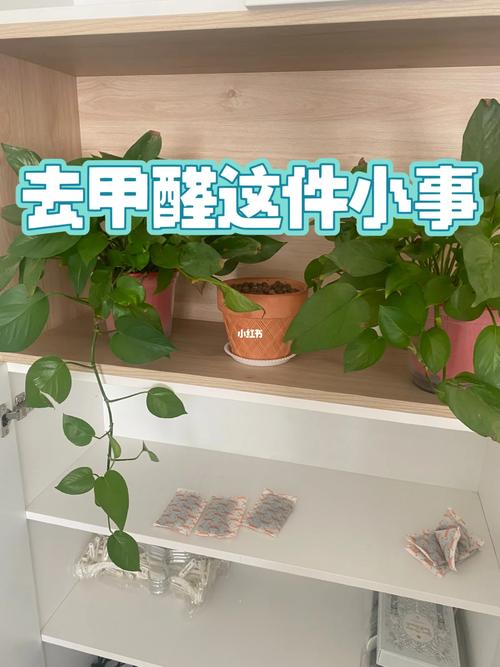 甲醛装修材料是什么意思_甲醛装修材料是什么_甲醛是装修材料