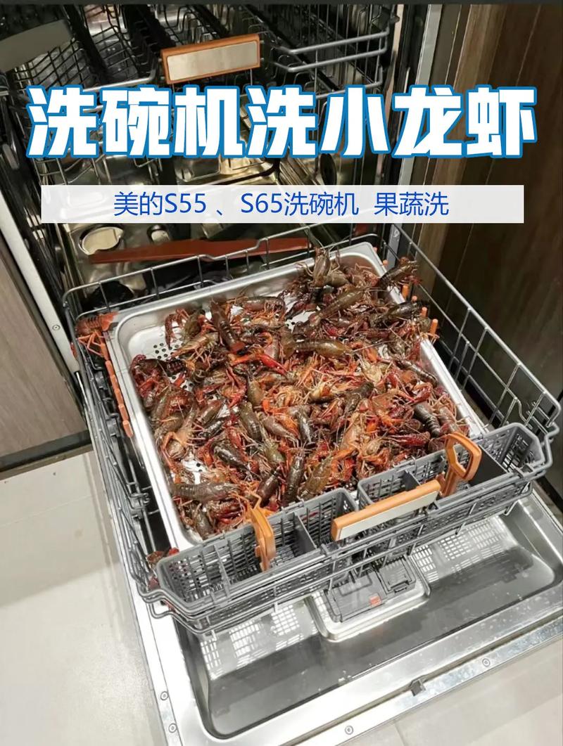 _家用洗碗机怎么操作_家用洗碗机操作流程