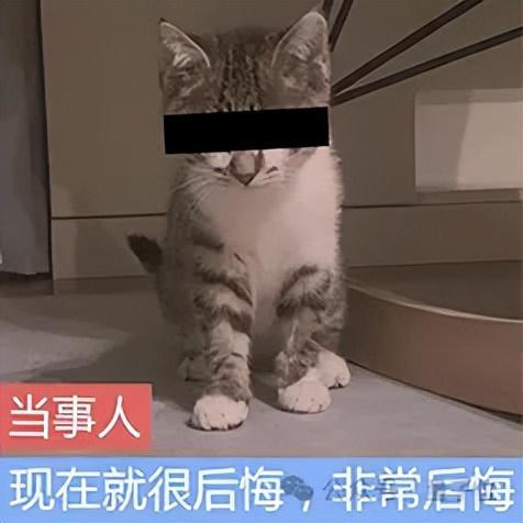 奥特曼披露ChatGPT周活3亿+，痛悔OpenAI无知选择“非营利”__奥特曼披露ChatGPT周活3亿+，痛悔OpenAI无知选择“非营利”