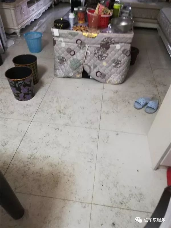 贵阳市好的家政公司_贵阳市的家政公司_贵阳家政公司排名榜
