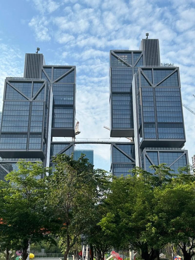 国家大剧院钢结构_国家大剧院钢结构建筑分析_钢结构大会