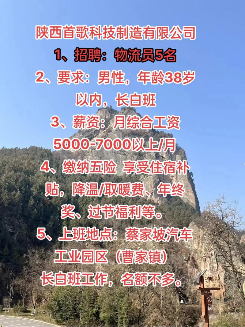 招聘信息最新招聘2024_招聘信息发布_招聘信息