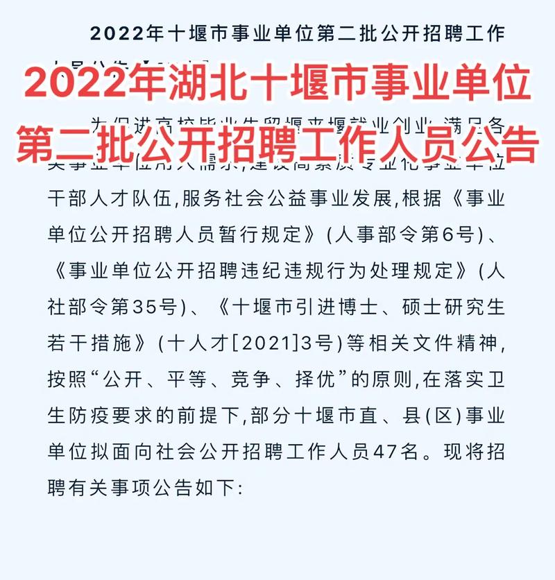 【十堰招聘】11家单位最新招聘信息（2024年12月15日)