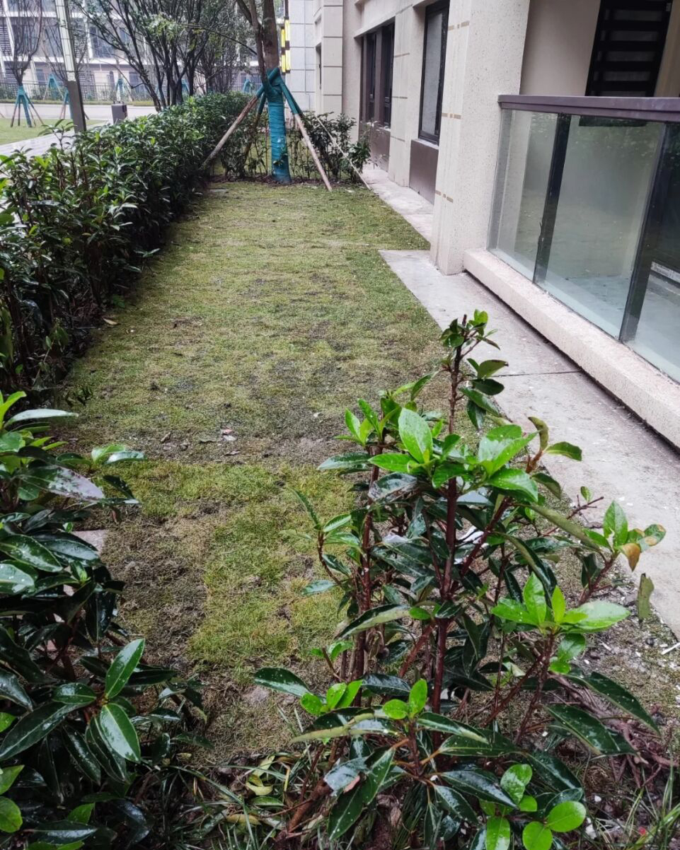 负式楼装修_一楼带负一楼装修效果_负一楼装修效果视频