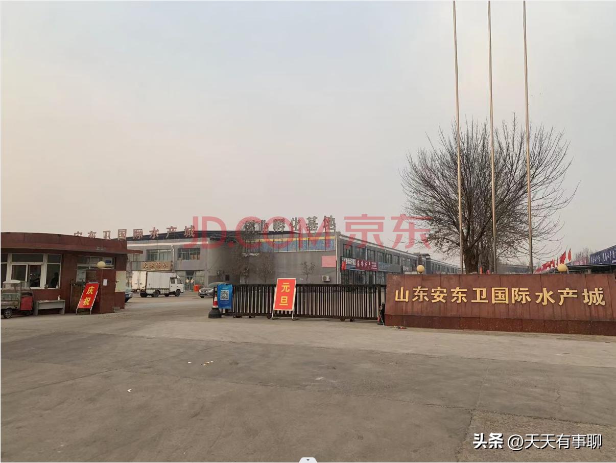 日照二手车市场地址_日照开发区二手车交易市场_日照市二手车交易市场在哪里