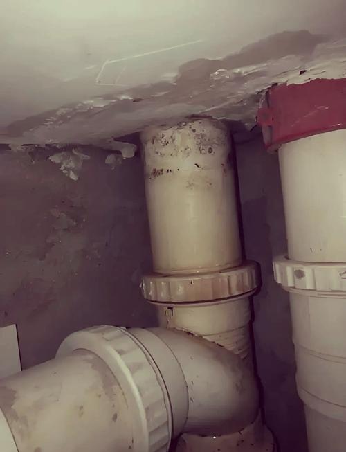 屋面工程质量保修期多久_屋面质保年限_钢结构屋面质保期