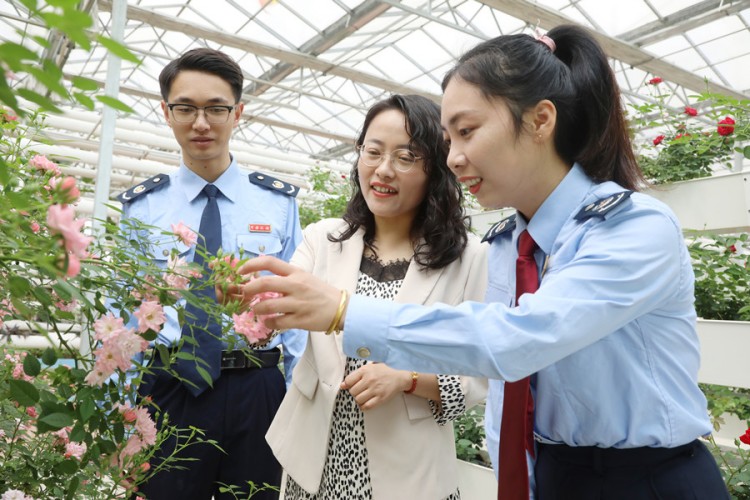 58同城舒城二手房_舒城二手房信息_舒城二手房出售个人房源