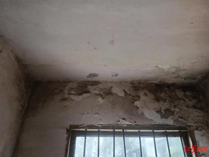 钢结构混凝土屋面_钢结构混凝土楼顶_钢结构屋顶浇筑混凝土