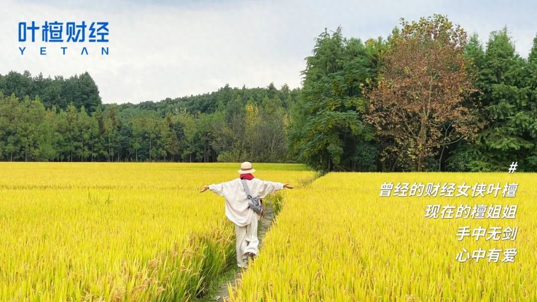 _大象舞台_大象起舞什么意思