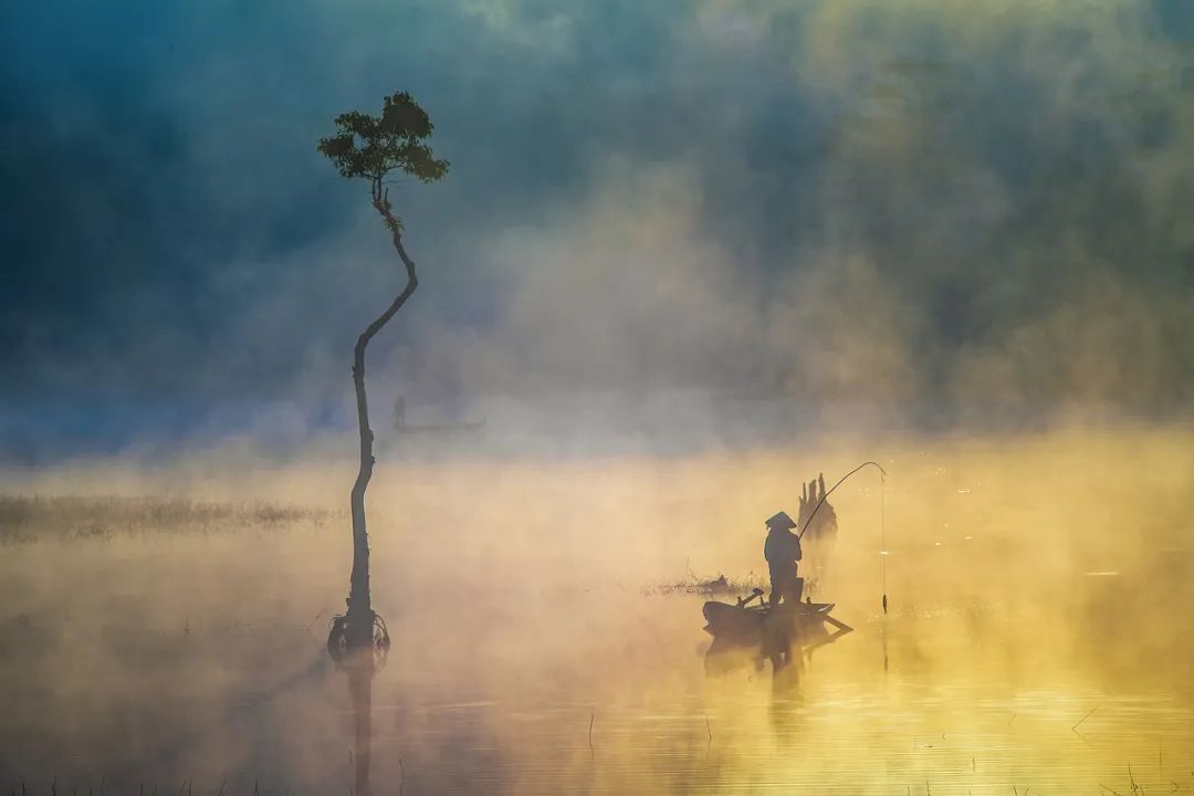 _大象起舞什么意思_大象舞台