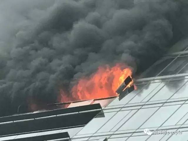 桥北家政公司电话号码_桥北家政公司电话号码_桥北家政公司电话号码