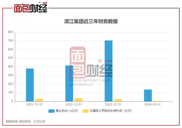 2020年滨江集团销售额_滨江集团业绩预告_