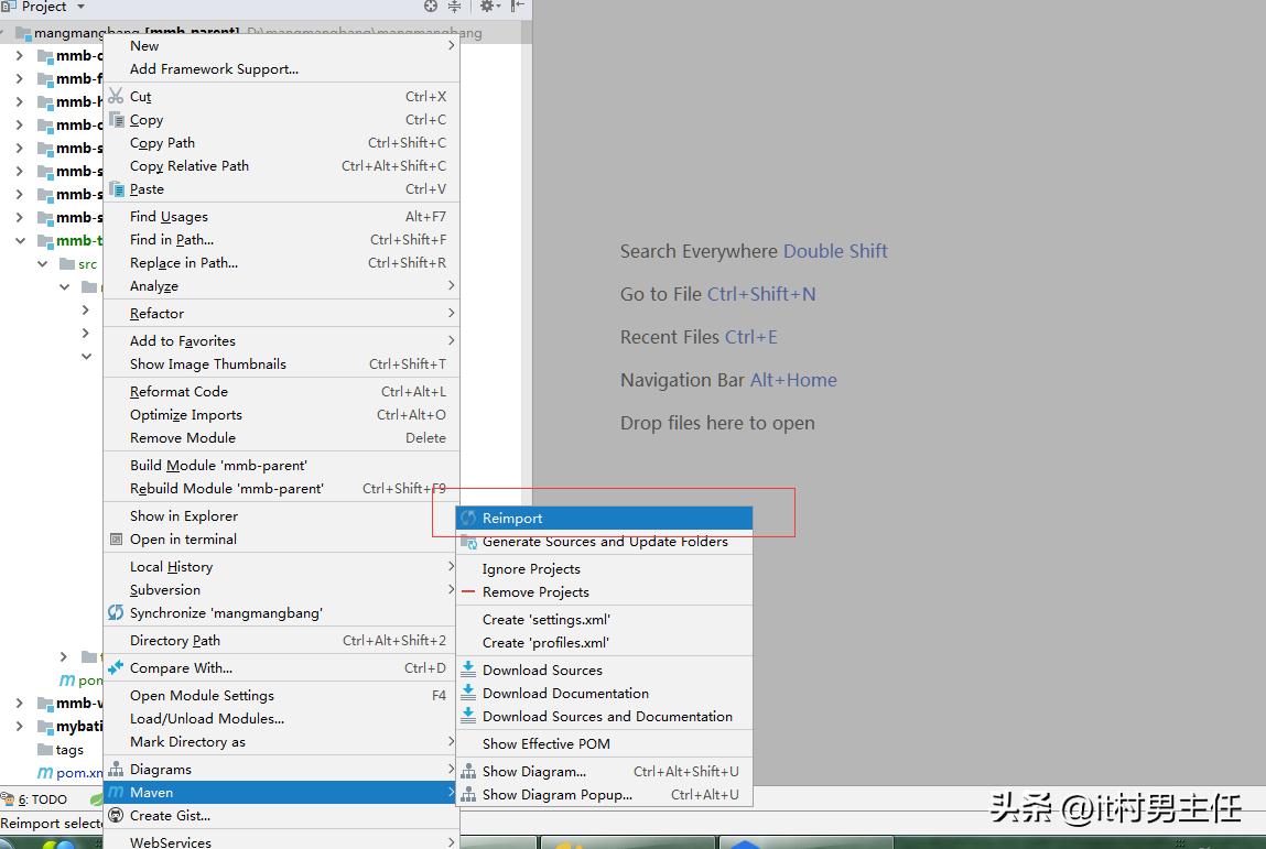 删除文件无法进入回收站_intellij idea无法删除文件_删除文件无法枚举容器中的对象