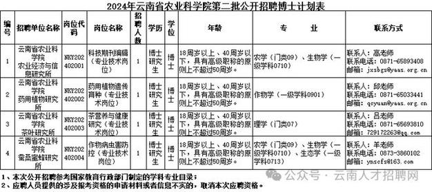 招聘网_招聘的平台有哪些_招聘