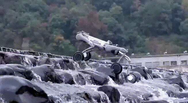 _马斯克第一次喊话狗狗币_马斯克吹狗狗币