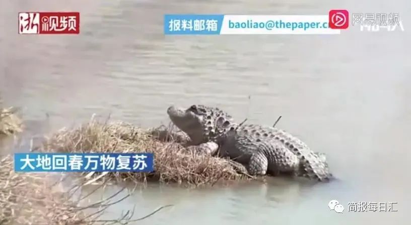 昆明废钢铁价格最新行情_云南昆明废钢收货价格_昆明废钢铁价格多少钱一斤
