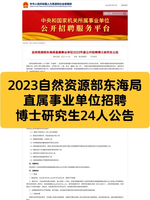 招聘网_招聘_招聘的平台有哪些