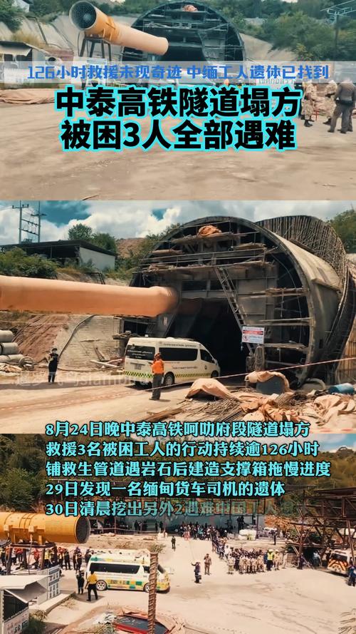拱形钢架结构_拱形钢结构_拱形钢结构屋顶图片