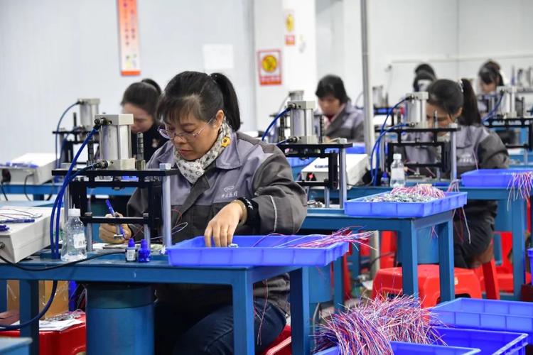 招聘_定向招聘非定向招聘_广饶招聘6月招聘司机