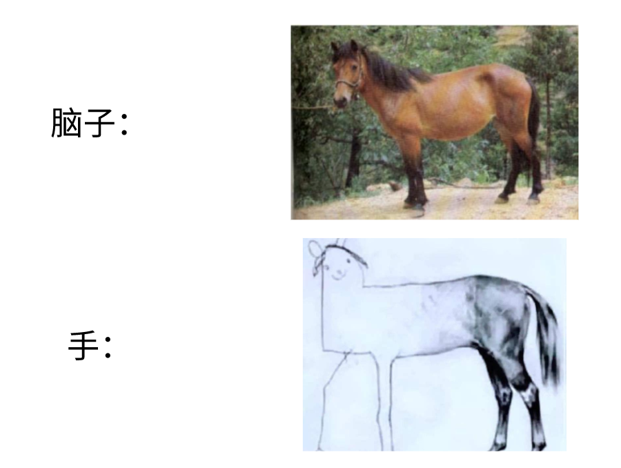 sketch up 3d树木模型_树木模型图片_树木模型下载