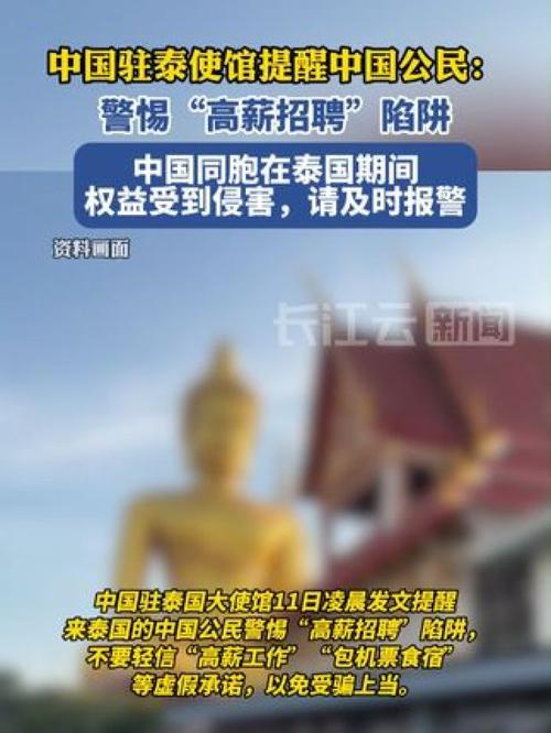 招聘_招聘网_招聘网boss直聘