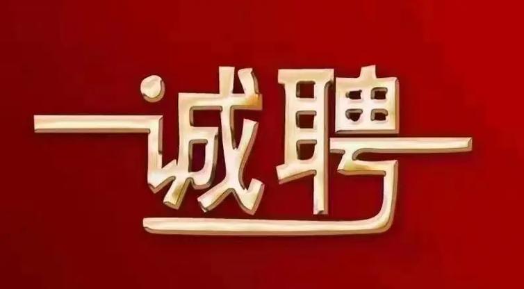 招人在哪个网站比较好找_招人_招人去哪个平台