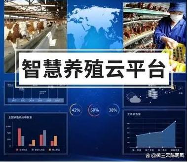 现代化鸡舍的建造设计_钢化鸡舍现代结构设计_现代化钢结构鸡舍