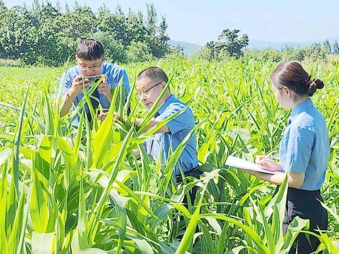 周口彩钢房_河南彩钢房_三门峡彩钢房