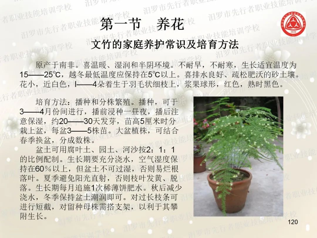 家政服务有哪些项目_家政服务项目有什么_家政服务项目名称大全