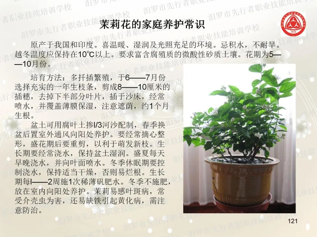 家政服务项目有什么_家政服务项目名称大全_家政服务有哪些项目