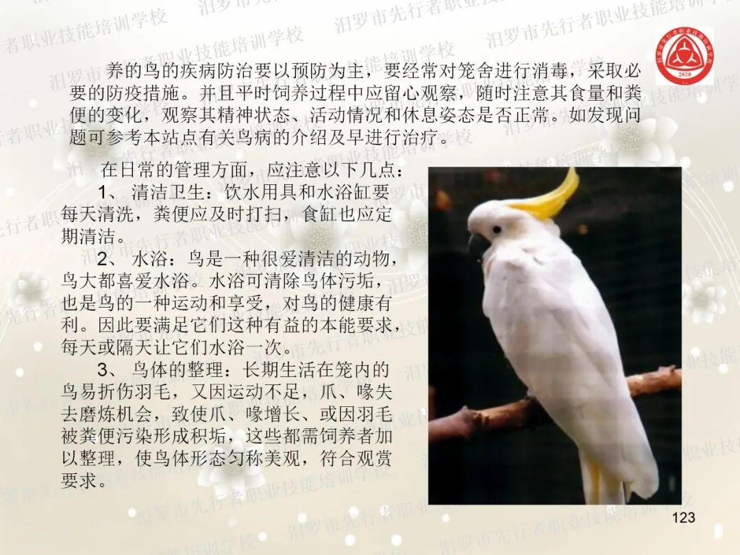 家政服务项目名称大全_家政服务有哪些项目_家政服务项目有什么