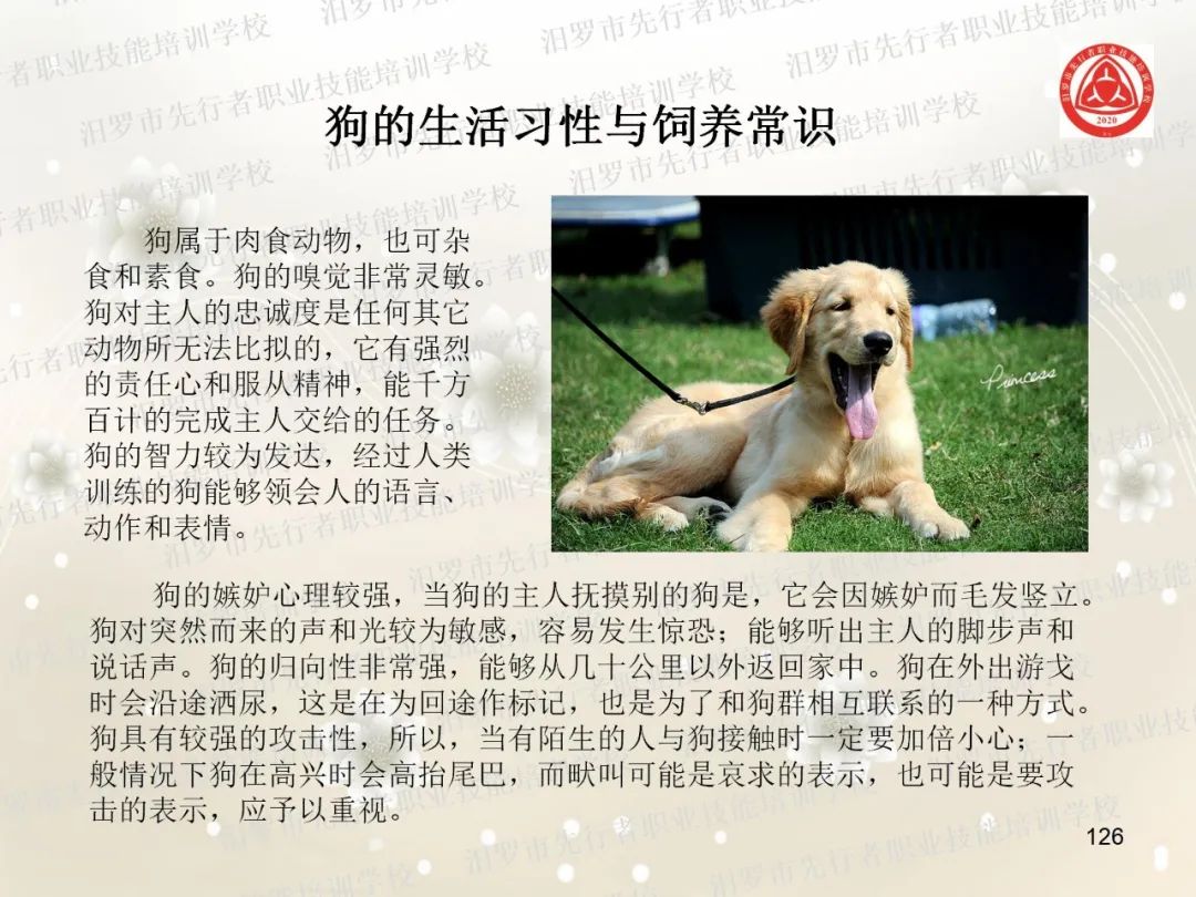 家政服务有哪些项目_家政服务项目名称大全_家政服务项目有什么