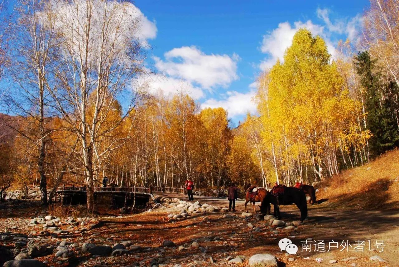 彩钢房克拉玛依哪里有卖_克拉玛依彩钢房_新疆彩钢房