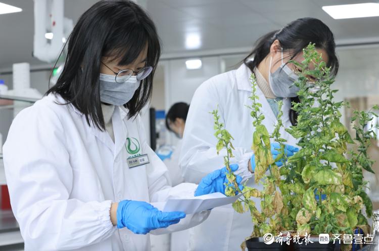 烟台装修材料有限公司_烟台装饰工程公司_烟台装饰材料公司