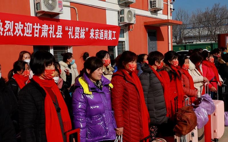 望京家政_望京家政公司哪家好_望京地区家政公司