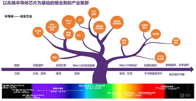 四大关键词，透视兆驰股份20周年盛典_四大关键词，透视兆驰股份20周年盛典_