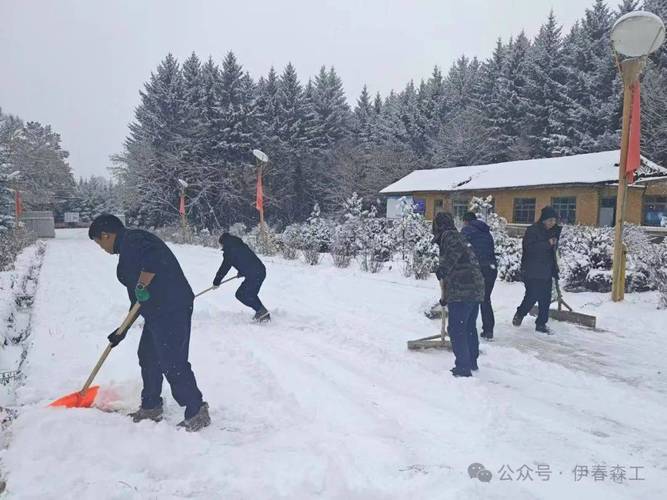 伊春彩钢房_伊通彩钢房厂家_依安县彩钢房厂家