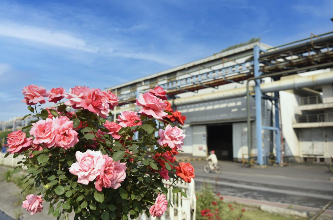 芜湖新兴铸管做什么的_芜湖新兴铸管怎么样_芜湖新兴铸管新闻