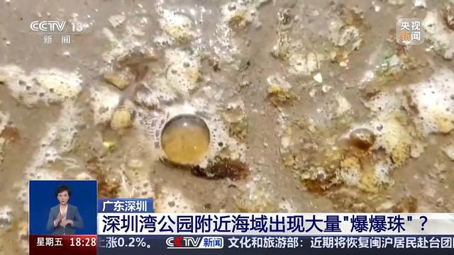 最近海水中为什么出现“爆爆珠”？__海水暴退