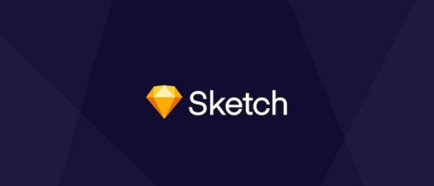 软件设计专业学什么_软件设计师含金量_ui设计软件sketch