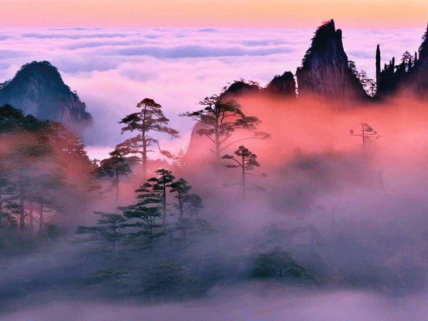 芜湖玫瑰庄园_芜湖庄园玫瑰酒店地址_芜湖玫瑰庄园几星级