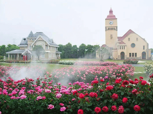 芜湖玫瑰庄园几星级_芜湖玫瑰庄园_芜湖庄园玫瑰酒店地址