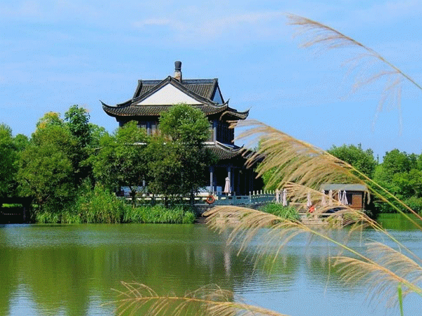 芜湖玫瑰庄园几星级_芜湖庄园玫瑰酒店地址_芜湖玫瑰庄园