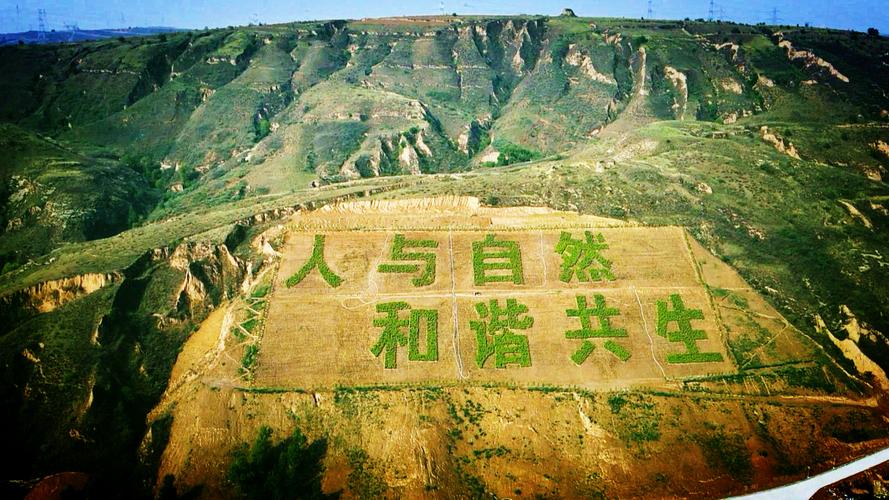 房屋拆迁彩钢房怎么赔偿_拆迁彩钢房补偿_彩钢房拆除补偿多少钱