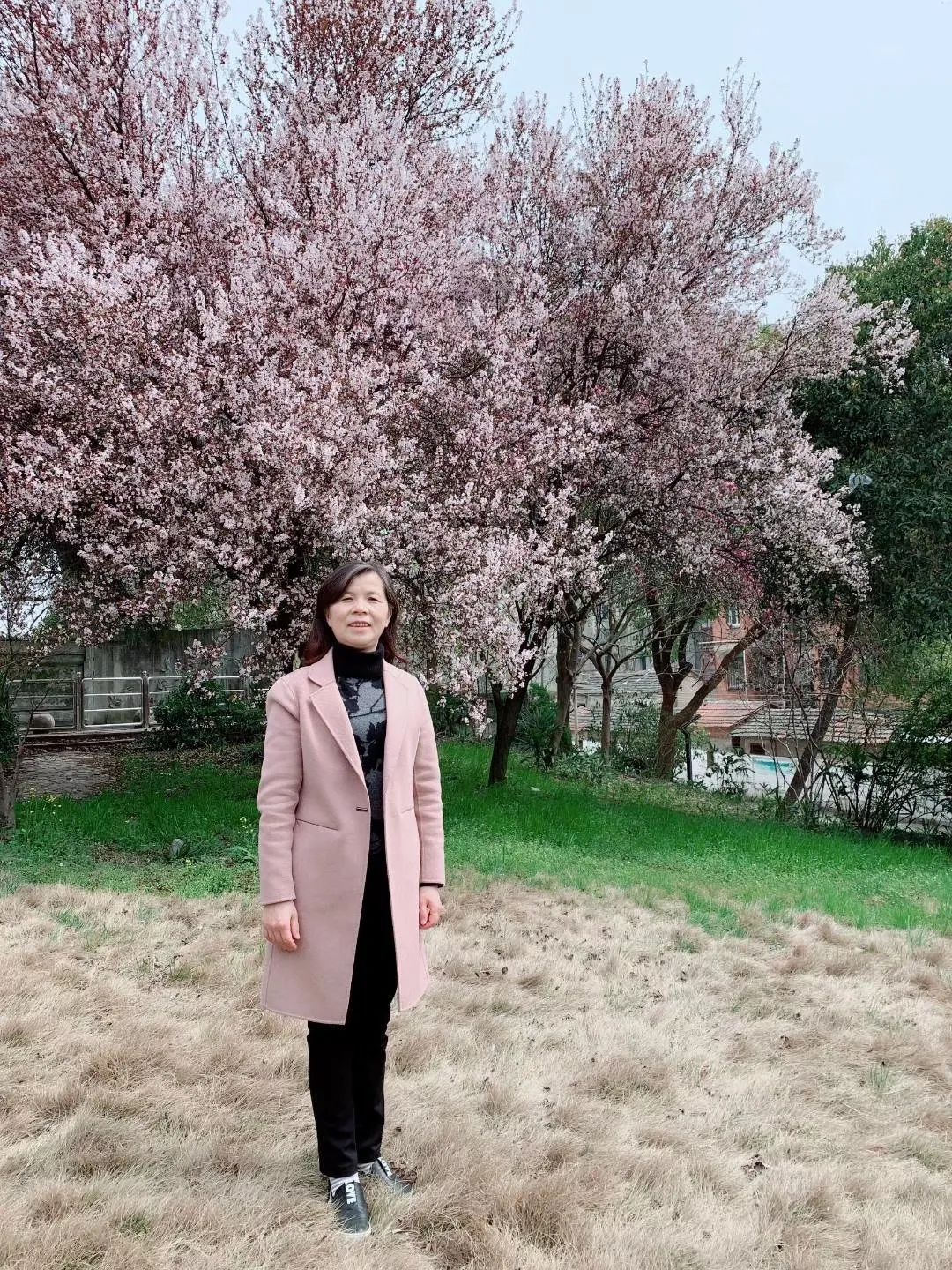 芜湖荟萃中学网_芜湖市荟萃中学是公办学校吗_芜湖荟萃中学网站