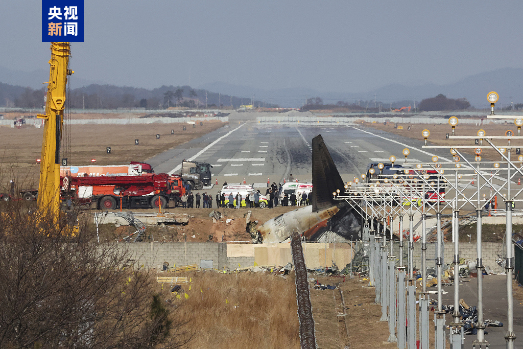 _济州航空空难初步调查报告：发动机吸入候鸟，关键4分钟数据缺失_济州航空空难初步调查报告：发动机吸入候鸟，关键4分钟数据缺失