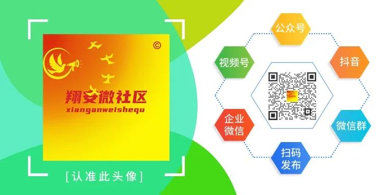 招聘_招聘网_招聘信息免费发布