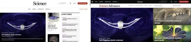 科学家开发单稳态结构软体机器鱼，以每秒6.8倍体长速度高速游动_科学家开发单稳态结构软体机器鱼，以每秒6.8倍体长速度高速游动_